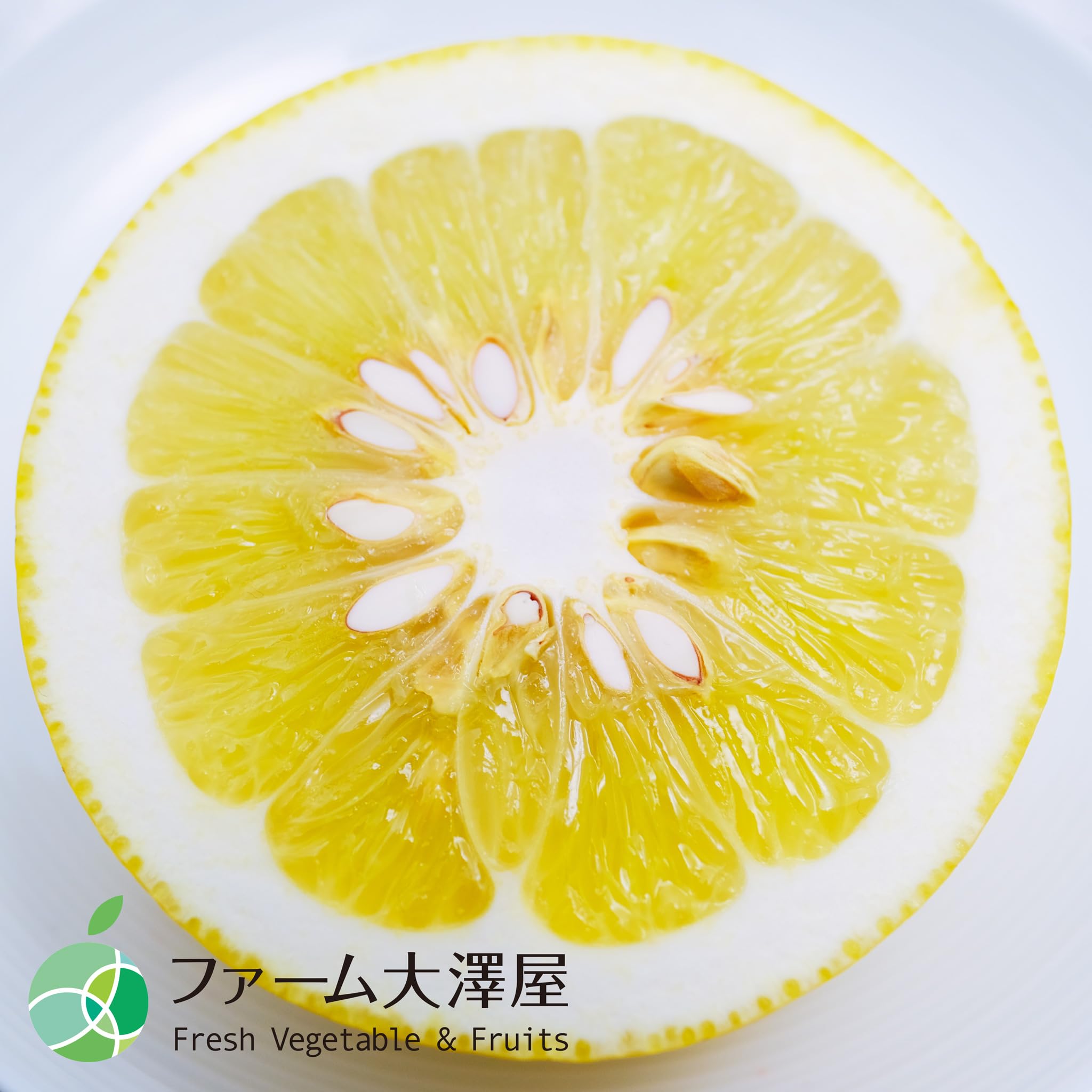 Amazon.co.jp: 五香 改良文旦 土佐文旦 赤秀 約4kg 8-10玉 早和柑橘